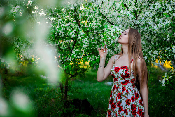 OMSK, RUSSIA, MAY 09, 2020: A girl with long blond hair sniffs the Apple tree flowers. A charming girl in a dress in an Apple orchard with branches of a flowering tree.