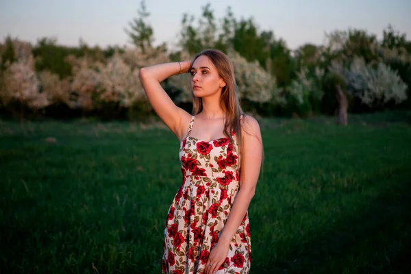 Omsk Russia Maggio 2020 Ragazza Abito Sera Nella Foresta Una — Foto Stock