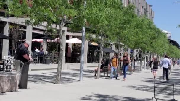 Sydney, Australie - Le 18 octobre 2019 : Un couple de touristes se promène dans le nouveau restaurant du port de Barangaroo Darling par une journée ensoleillée — Video