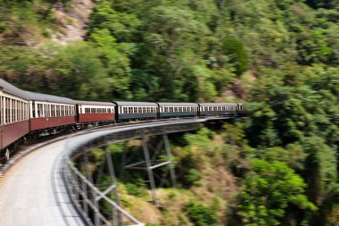 Yağmur ormanlarının içinden Avustralya Kuranda Queensland 'a hareket bulanıklığıyla dönen tren yolculuğu.