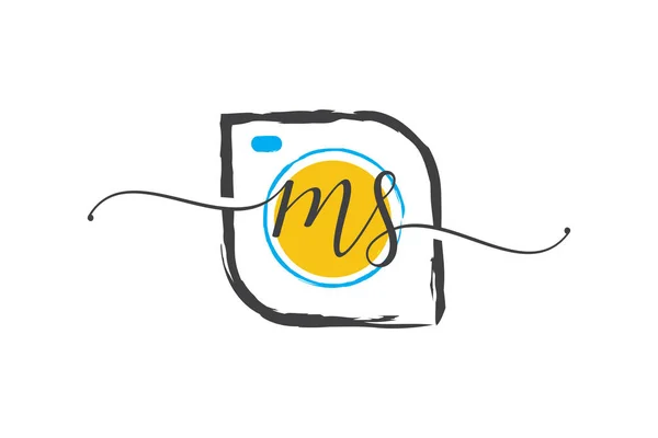 Aanvankelijk Handschrift Logo Ontwerp Met Een Borstel Fotografie Logo Concept — Stockvector