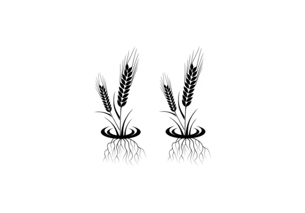 Weizenohren Icon Und Logo Für Den Identitätsstil Von Naturprodukt Unternehmen — Stockvektor