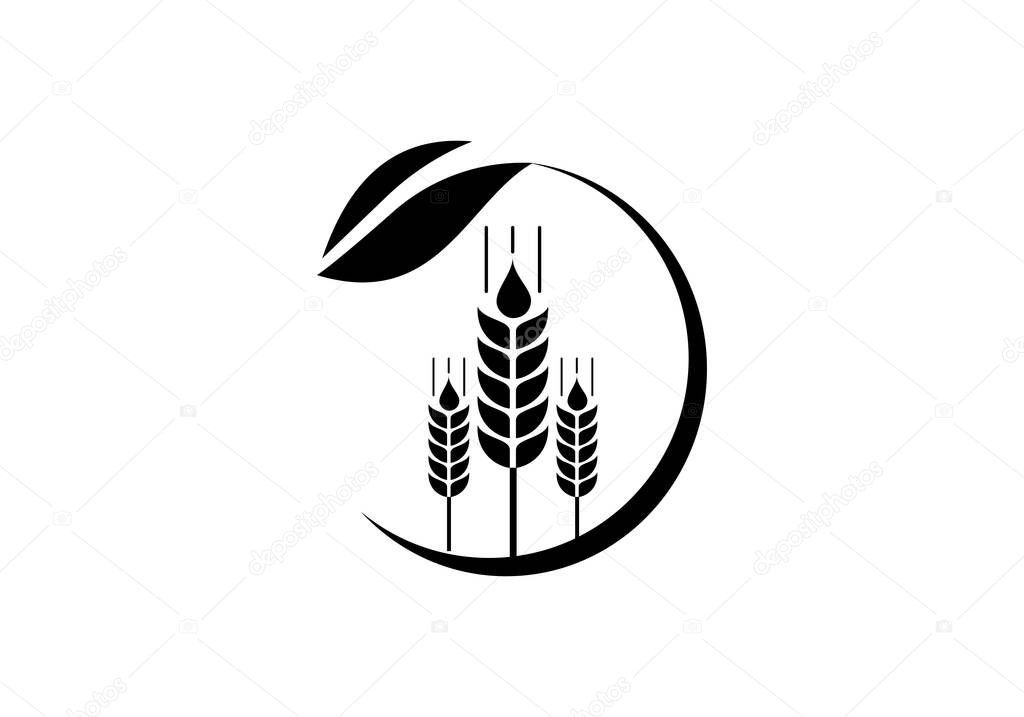 Wheat Ears Icon and Logo. For Identity Style of Natural Product Company and Farm Company. Agricultural symbols isolated on white background.