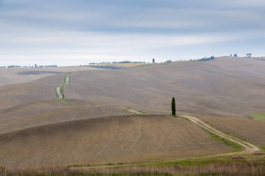 Tipik Toskana manzara sonbahar