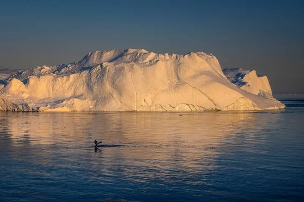Nyugat-Grönland Ilulissat Jakobshavn Jacobshaven bálna keporkak — Stock Fotó
