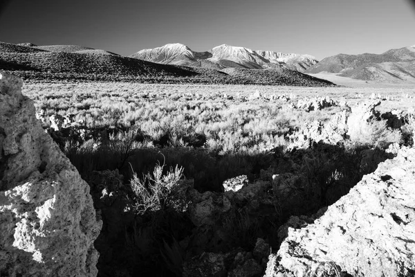 Mono Lake Tufa State Φυσική παραλία ανατολή του ηλίου — Φωτογραφία Αρχείου