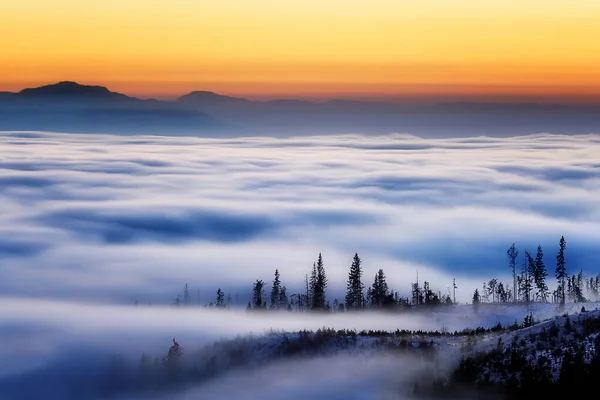 Natura promontorio nebbia alberi blu Slovacchia — Foto Stock