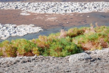 Badwater Havzası tuzlu Ölüm Vadisi