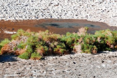 Badwater Havzası tuzlu Ölüm Vadisi