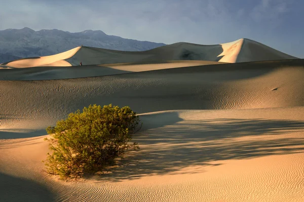 Mesquite Dunes suothwest USA sand — Stock Photo, Image