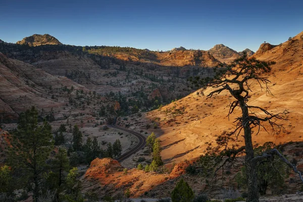 Zion National Park rochas vermelhas ao pôr do sol — Fotografia de Stock