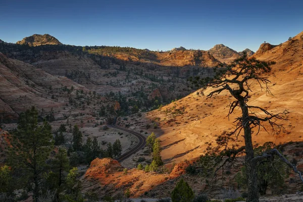 Zion National Park roci rosii in apus de soare — Fotografie, imagine de stoc