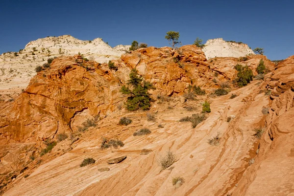 Zion National Park rochas vermelhas ao pôr do sol — Fotografia de Stock