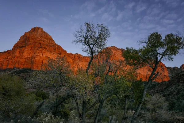 Zion National Park The Watchmann — Stock Photo, Image