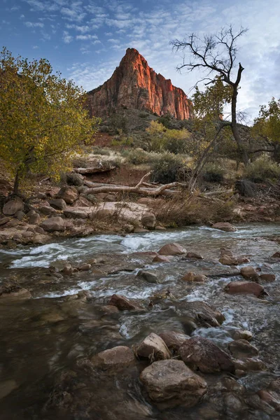 Parque Nacional de Zion O Watchmann — Fotografia de Stock