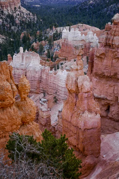 Bryce canyon parque nacional utah — Fotografia de Stock