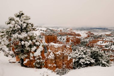 Bryce Canyon National Park Utah clipart