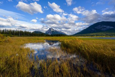 Gün batımında Rundle Dağı