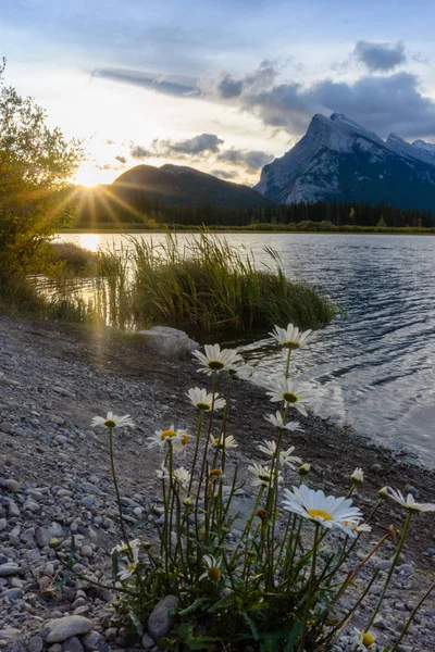 Mount Rundle in sunset light — 스톡 사진