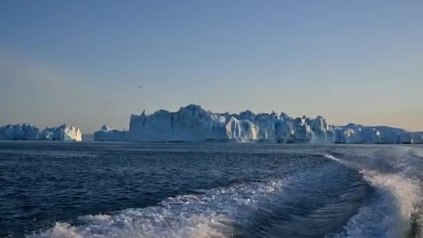 Grönländska Ilulissat Glaciärer Vid Disco Bay Med Valkeporkak — Stockvideo