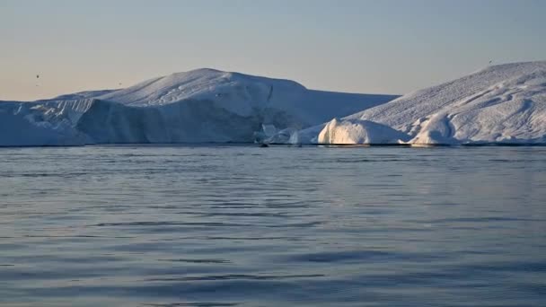 Гренландские Ледники Ilulissat Диско Бей Китовым Кепоркаком — стоковое видео