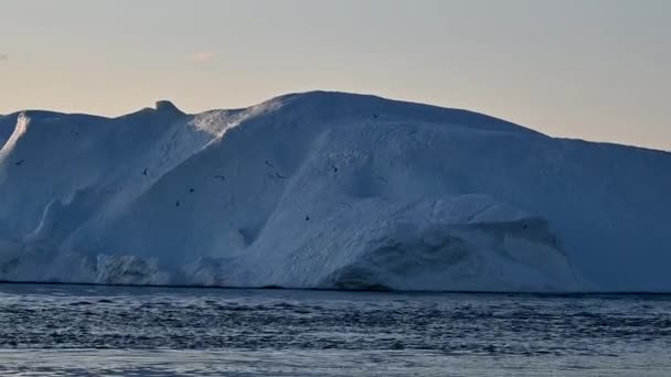 Groenland Ilulissat Gletsjers Bij Disco Bay Met Walviskeporkak — Stockvideo