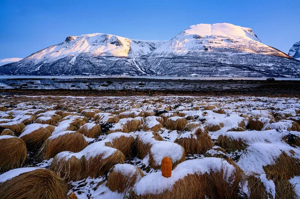 Fiordo Lyngen e montagna nel nord della Norvegia con formaggio di pecora affumicato — Foto Stock