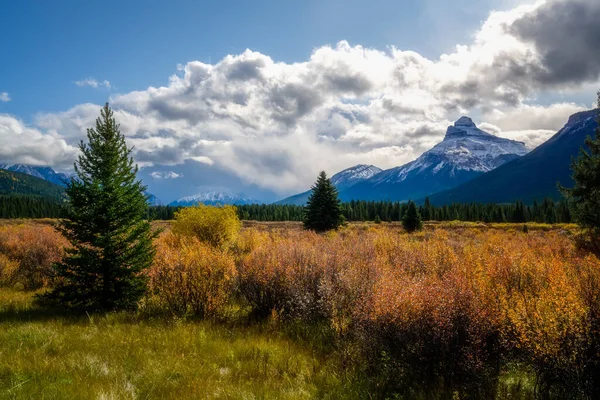 Pilot Mountain Banff, Alberta Kanada travel destination — Φωτογραφία Αρχείου