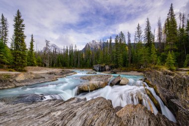 Doğal Köprü Şelalesi, Yoho Alberta Kanada seyahat noktası