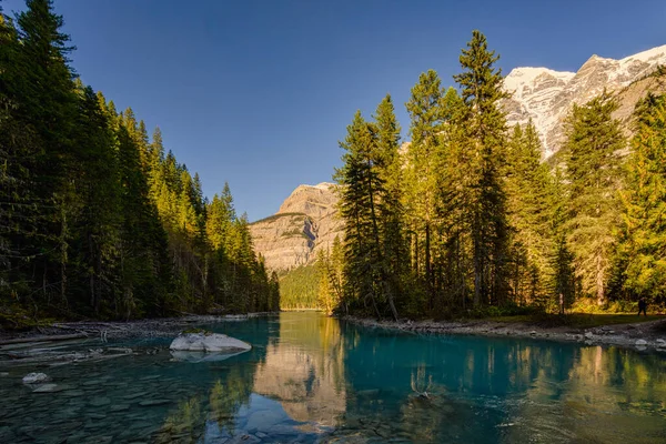 Monte Robson y Montaña Whitehorn, Lago Kinney, Jasper Alberta Kanada — Foto de Stock