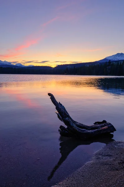 Edith Lake, Jasper Alberta Kanada 여행지 — 스톡 사진