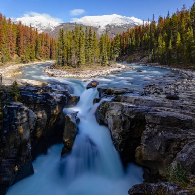 Sunwapta Şelalesi, Jasper Alberta Kanada seyahat merkezi