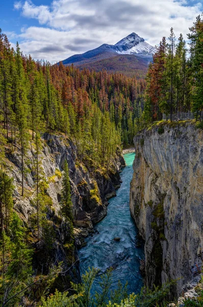 Sunwapta Falls, Jasper Alberta Kanada utazási cél — Stock Fotó