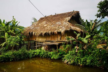 İlkbaharda tipik Vietnam manzarası ve kırsal kesimde doğal konutlar.