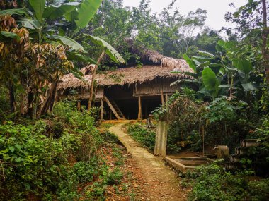 İlkbaharda tipik Vietnam manzarası ve kırsal kesimde doğal konutlar.