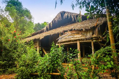 İlkbaharda tipik Vietnam manzarası ve kırsal kesimde doğal konutlar.