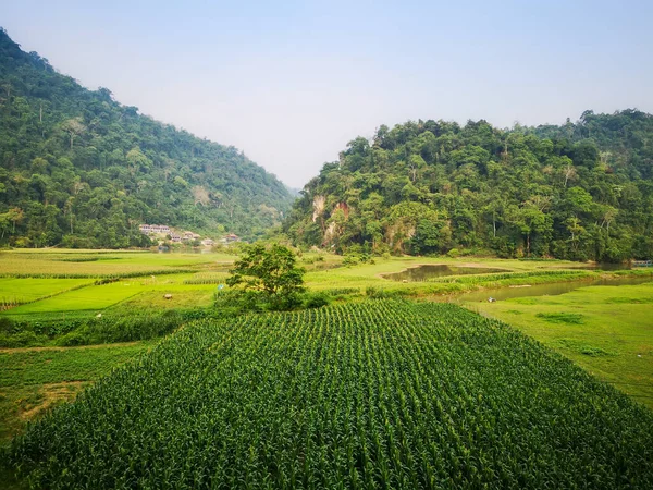 Typiskt vietnamesiskt landskap på våren i Ba Be Lake — Stockfoto