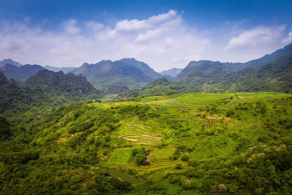 Típico paisaje vietnamita en primavera con arrozales —  Fotos de Stock