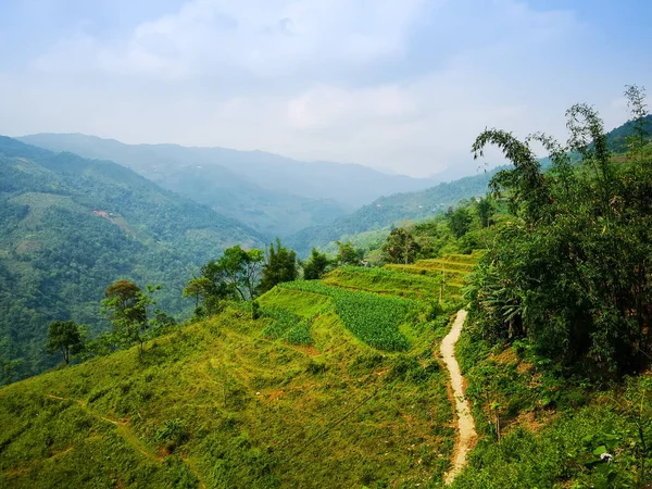 Typiskt vietnamesiskt landskap på våren med risfält — Stockfoto