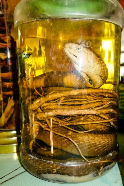 Cobras marinadas em espÃ rito de arroz ou milho — Fotografia de Stock