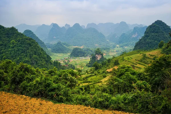 Típico paisaje vietnamita en primavera con arrozales —  Fotos de Stock