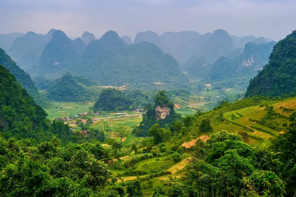 Типовий в "єтнамський пейзаж навесні з рисовими полями. — стокове фото