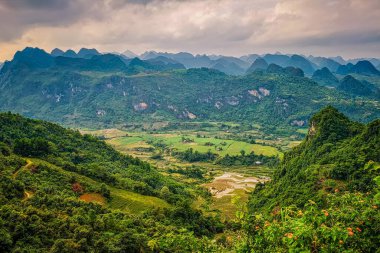 Tipik Vietnam manzarası ilkbaharda pirinç tarlalarıyla