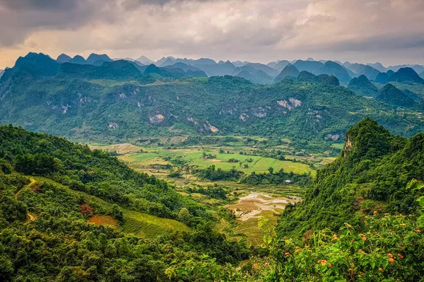 Típico paisaje vietnamita en primavera con arrozales —  Fotos de Stock