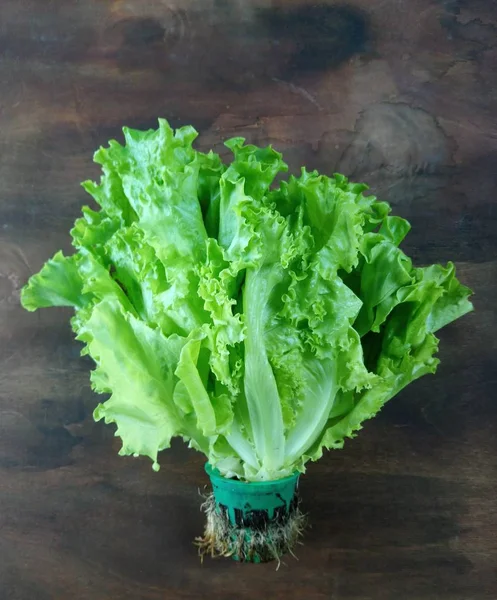 Frisse Natuurlijke Salade Ligt Tafel — Stockfoto