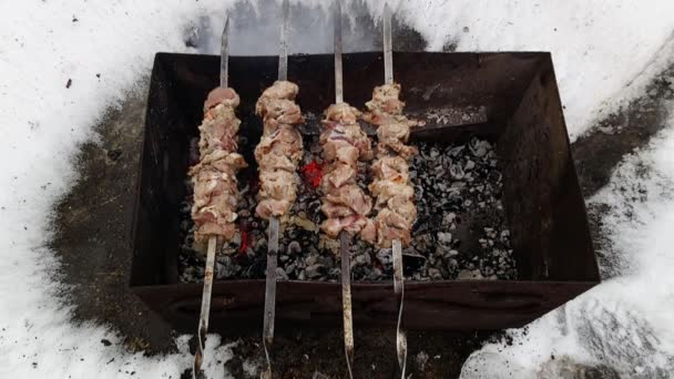 Свиные Шашлыки Приготовленные Шашлыках Зимой Железном Барбекю — стоковое видео