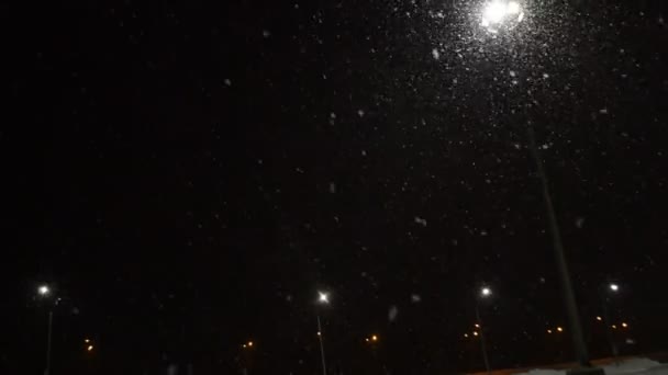 Witte Pluizige Sneeuw Valt Nachts Stad — Stockvideo