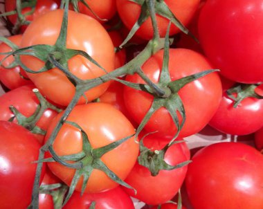 Lezzetli ve sulu domatesler masada yatıyor.