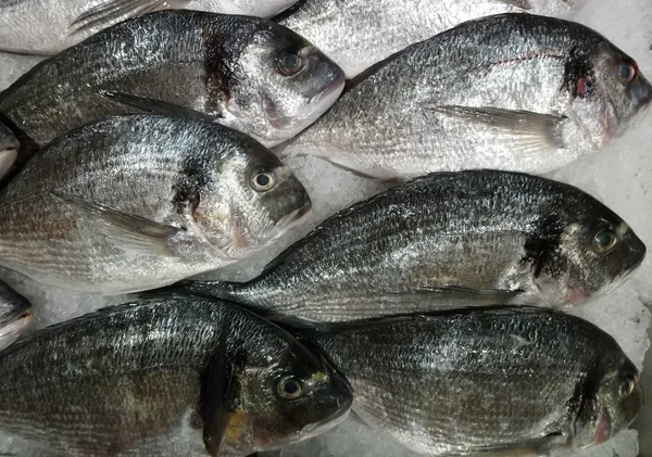 Sacco Pesce Fresco Giace Sul Ghiaccio — Foto Stock