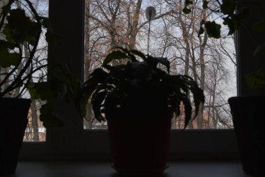 Doğanın penceresinden güzel bir manzara